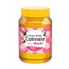 Miel Del Monte Colmeia 500 G | DiDonato