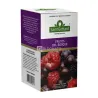 Frutos del Bosque S.GOTTARD 20 saq