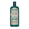 Shampoo Ortiga Concen CAPILATIS 420 ml