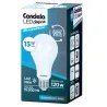 Lámpara LED 15 W Fría CANDELA